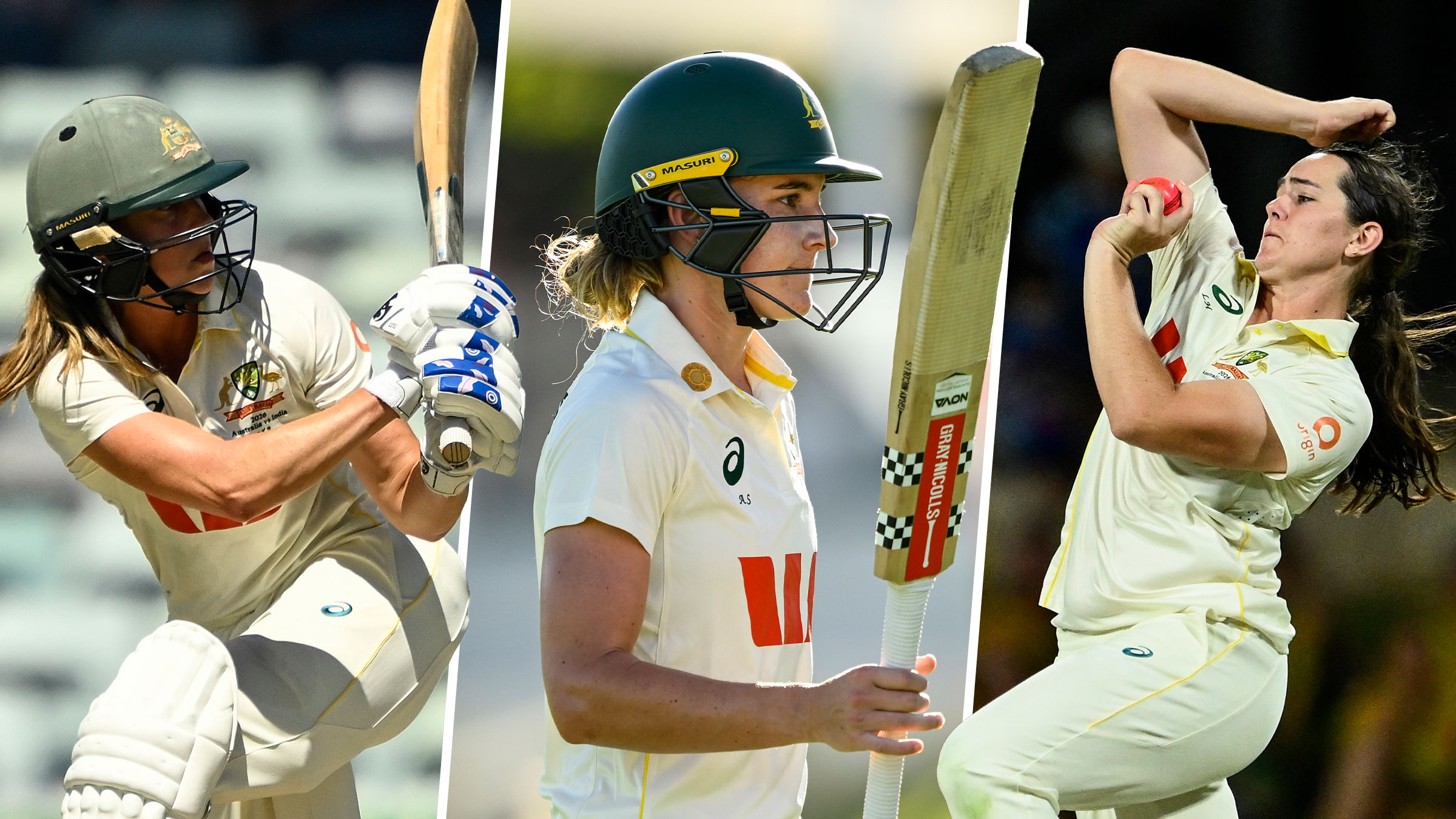 Are You Ready for an Aussie? Understanding Their Energetic Strength